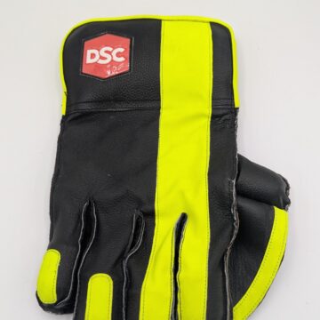 Dsc Cricket Keeping Gloves