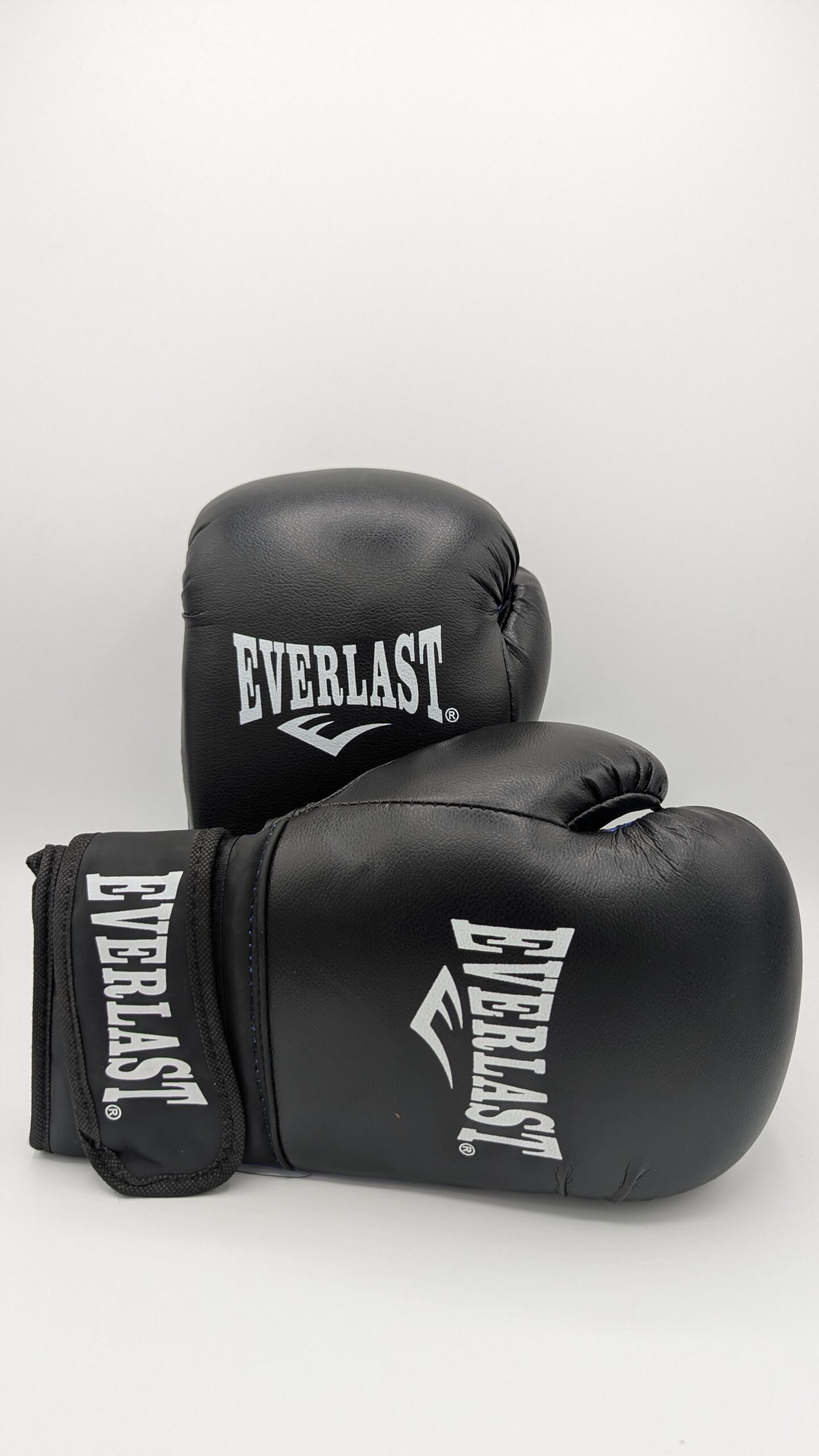 Everlast Boxing gloves